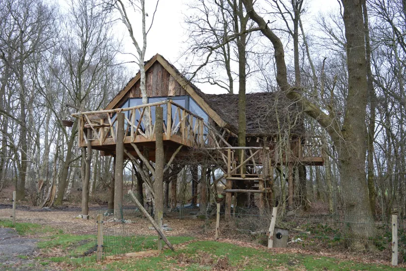 pn30012018 boomhut ansen12