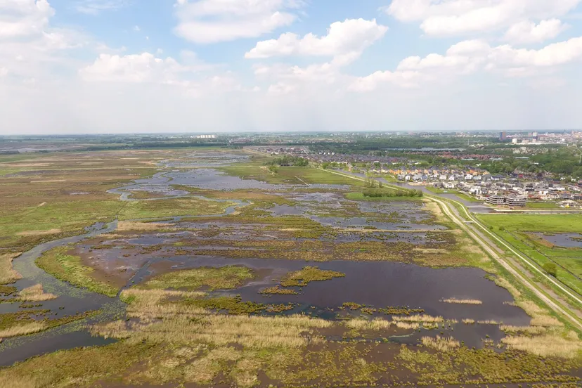 Dronebeeld De Onlanden - Waterschap Noorderzijlvest (1)