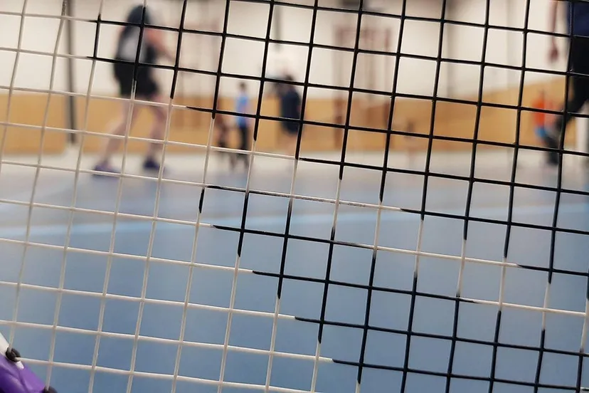 badminton-4730824_1280