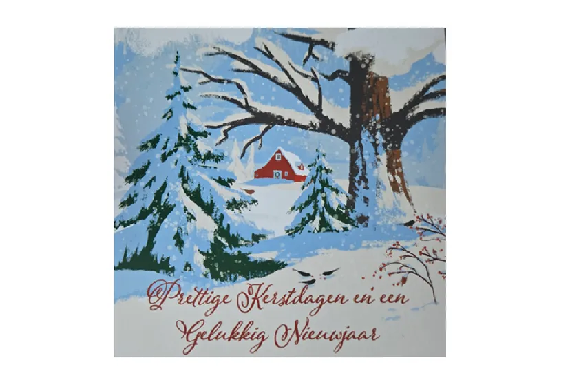 Schermafbeelding 2025-12-24 120000