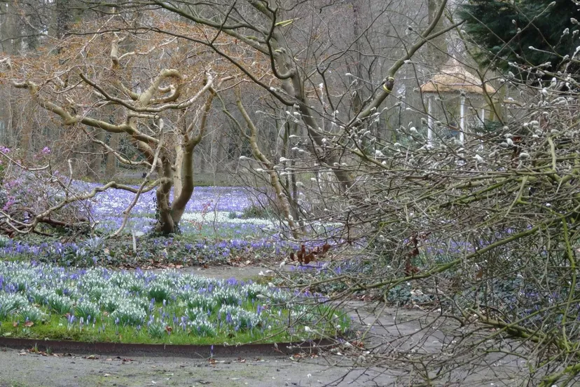 unnamed - 2026-02-26T141653.452