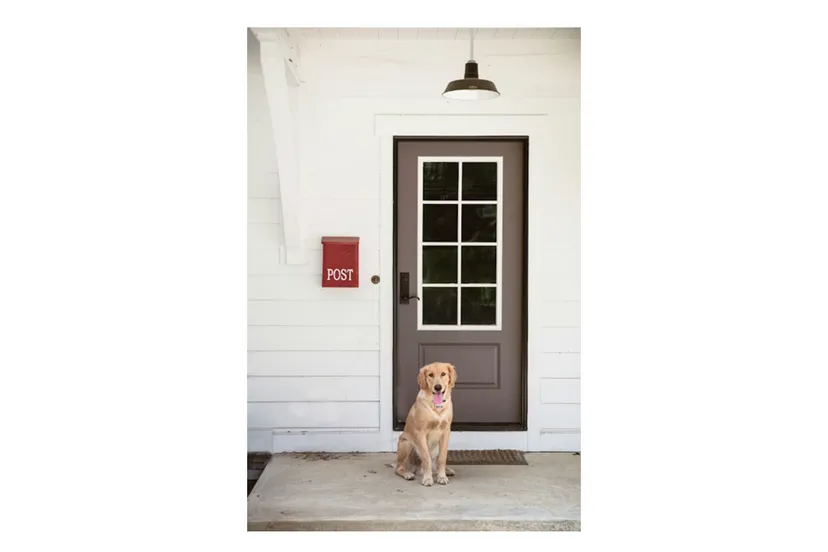 Schermafbeelding 2026-03-09 113057