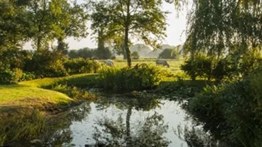 0d4220af f22c 4366 a098 edfdfa528d12