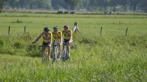 104b885b f281 492a 879f ad9a31f885c2