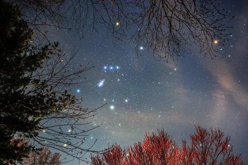 12813990 1028296490586761 674127711633182339 n