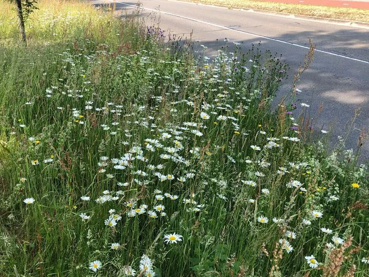 186468840 5751693678203905 3018875123685946872 n