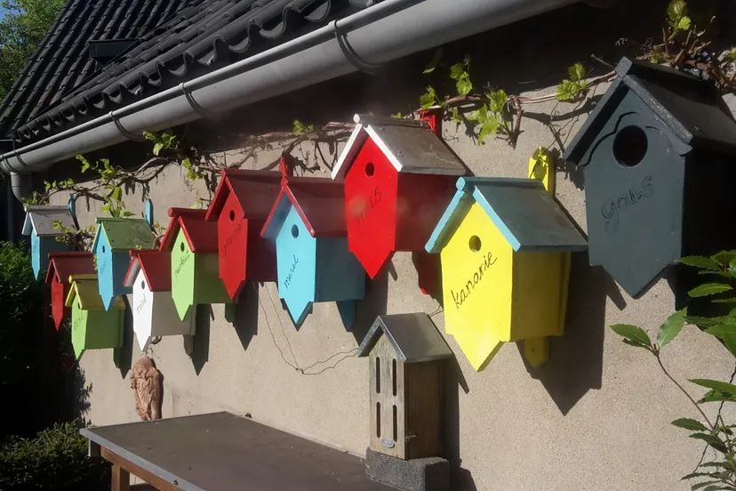 20170506 090026 scaled