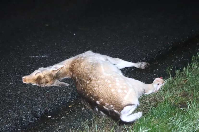 20220112015508 img 4322 1