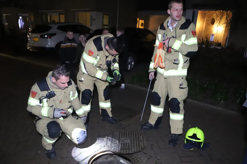 20220129224916 img 4931