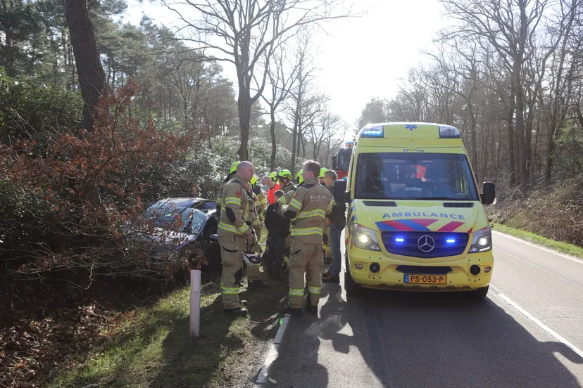 20220226143922 img 5904