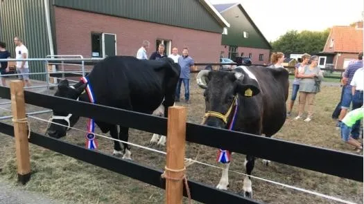 26d01324 2326 4292 a956 68aa826ee948