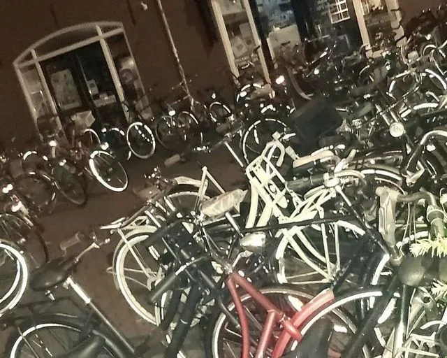 287222287 332832769035743 3916066486760014294 n