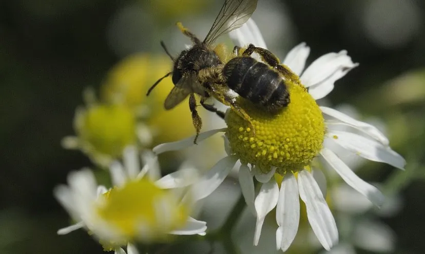 29d4e7ee 15ea 42ce b379 3193c2816eab thumb840