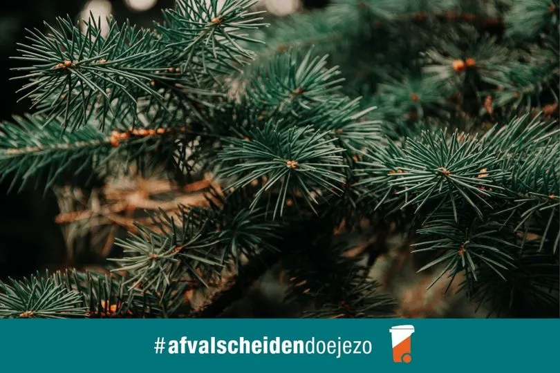 324231488 878003626734231 2008487309024284458 n