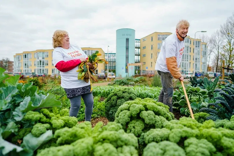 326894319 481525737528433 8972138943449742922 n