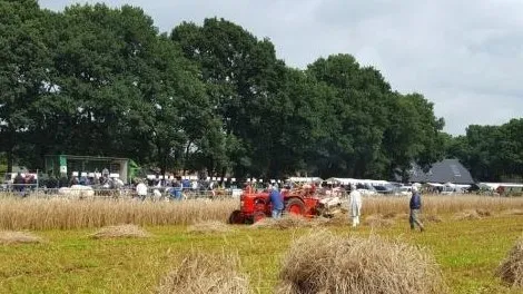 380371e0 2fff 4773 a02d c88a1447b206