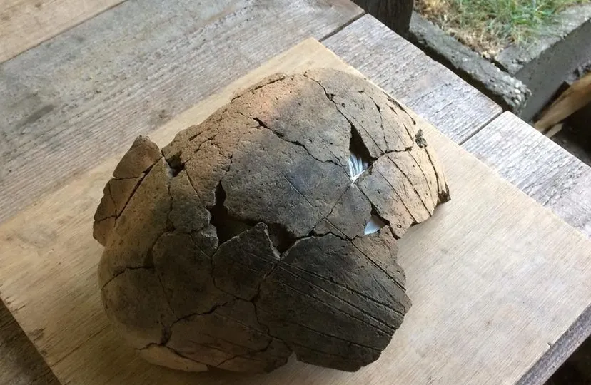 45093196 2491917230848249 1111519226759217152 n