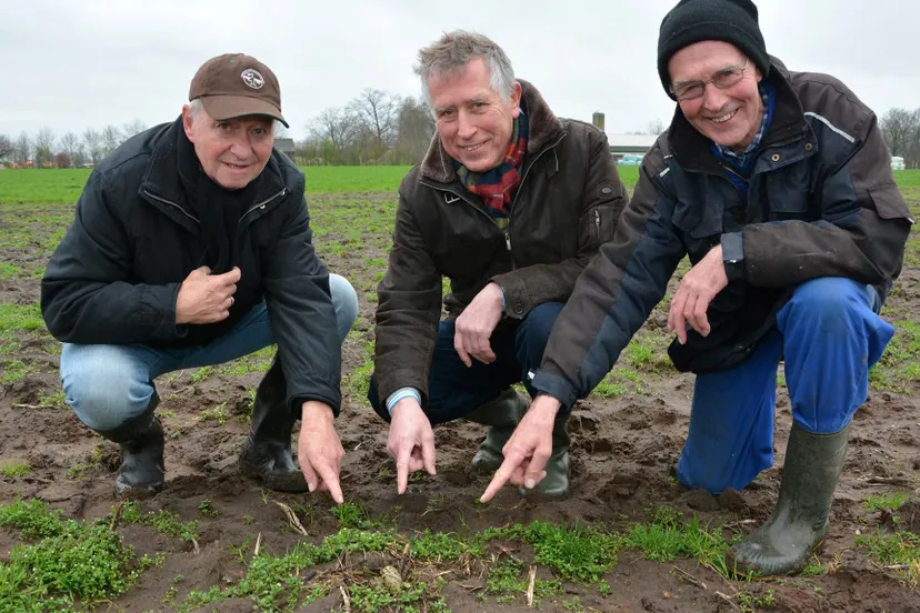 54230737 2786387518067884 880525788112224256 o