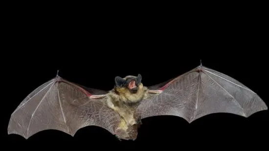 593bb607 1c80 4752 828f 5f9ccc054da2