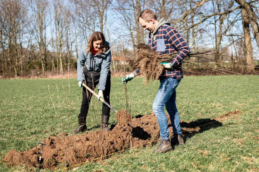 aanplanting website 019 marcel de bont fotografie