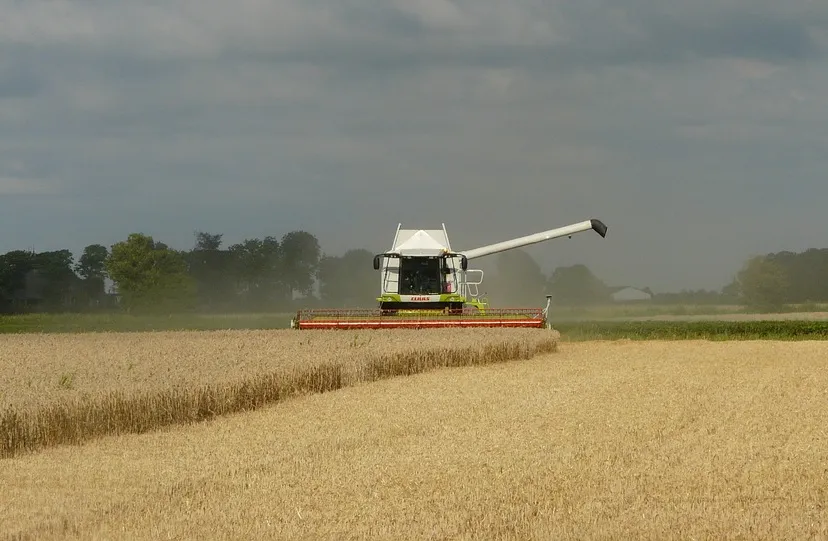 akker kridneh pixabay