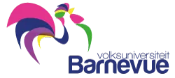 barnevue logo