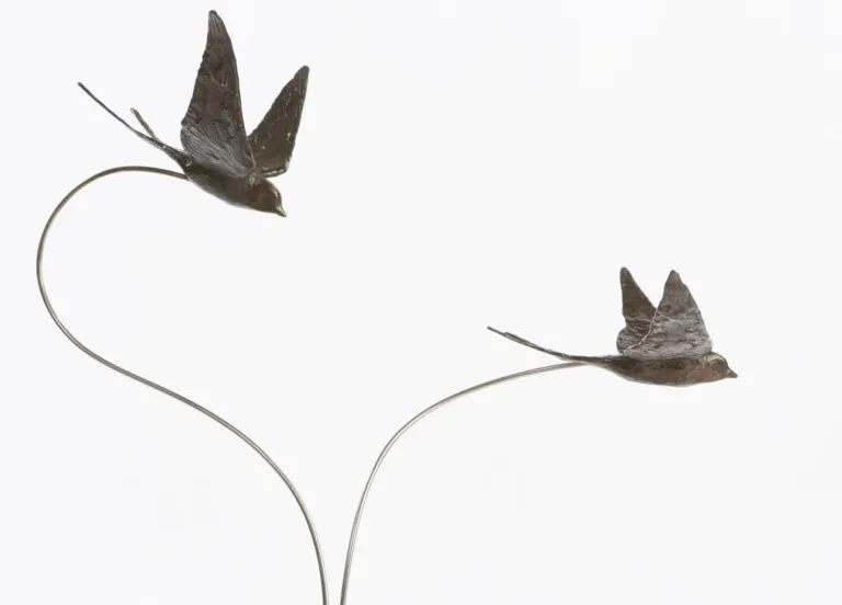 bd zomer 2020 768x768 1