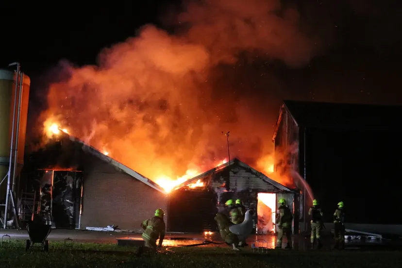 brand boerderij met kippen