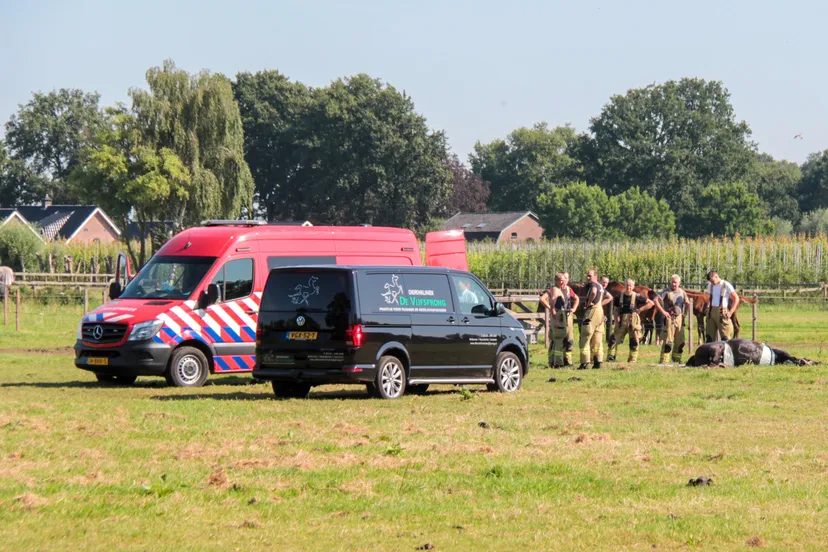 brandweer inzet voor paard