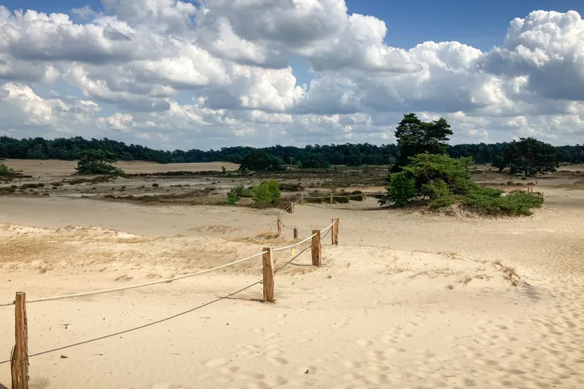 broedseizoenafsluiting hulshorsterzand foto natuurmonumenten 1