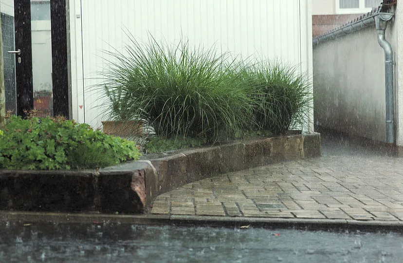 csm 3a foto regenwater 05c3501535