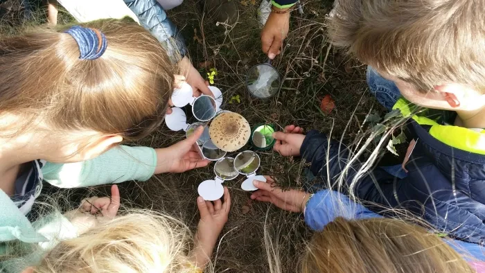 de onderkant van paddenstoelen bekijken met een spiegeltje stichting schapedrift