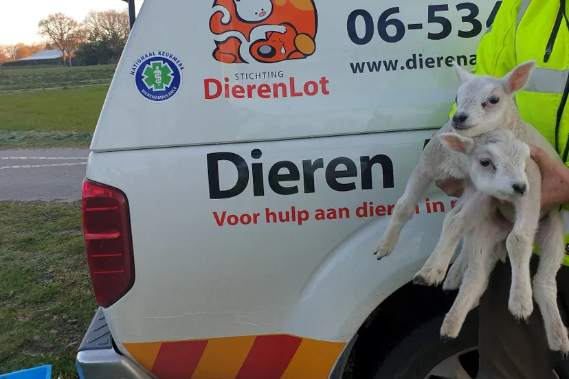 dierenambulance nijkerk