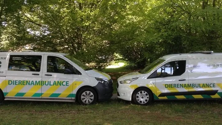 dierenambulance putten barneveld facebook