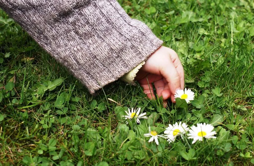 facebook bloemendal nieuwbouw