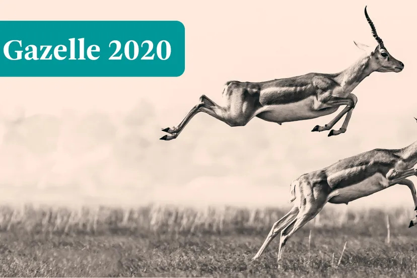 fd gazellen 1200x630