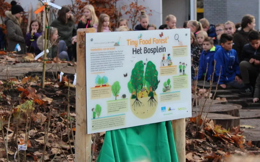 het bosplein het eerste tiny food forest in nederland 1024x683 915x518