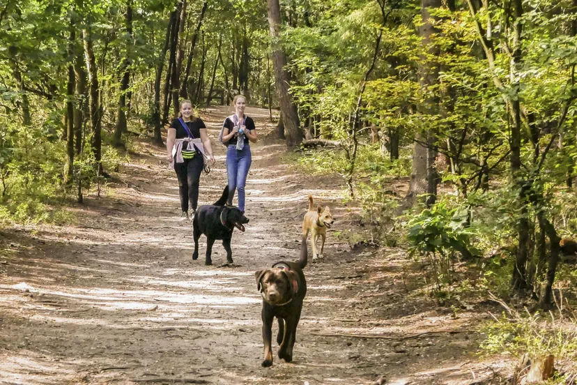 het leesten ab 2342 min
