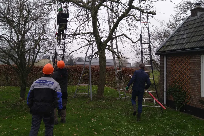 hoogstambrigade barneveld aan het werk jan 24