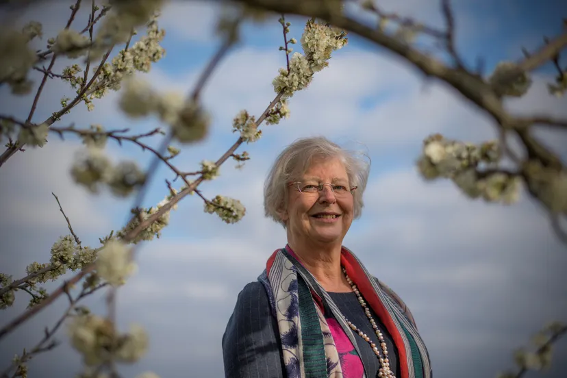 josan meijers rafael drent