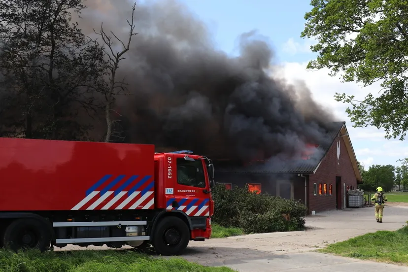 kippenschuur harskamp