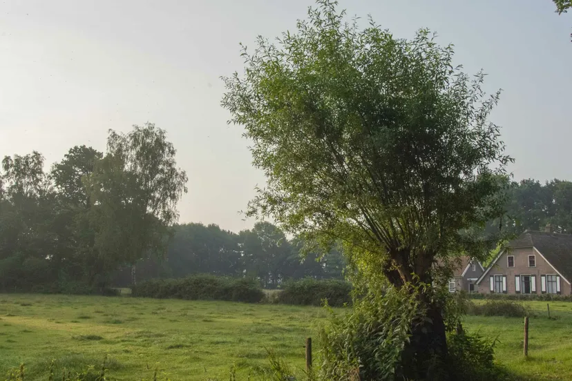 meulunterenpad willem van leuveren1 scaled