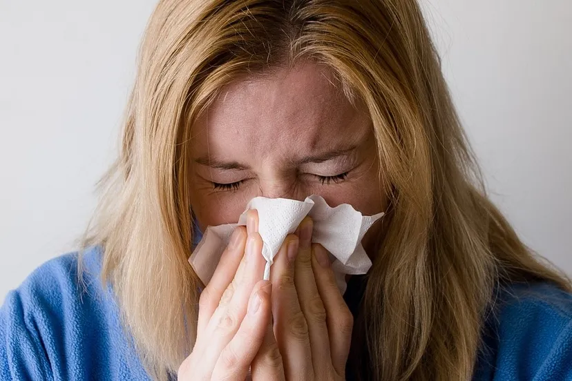 mojca peter via pixabay