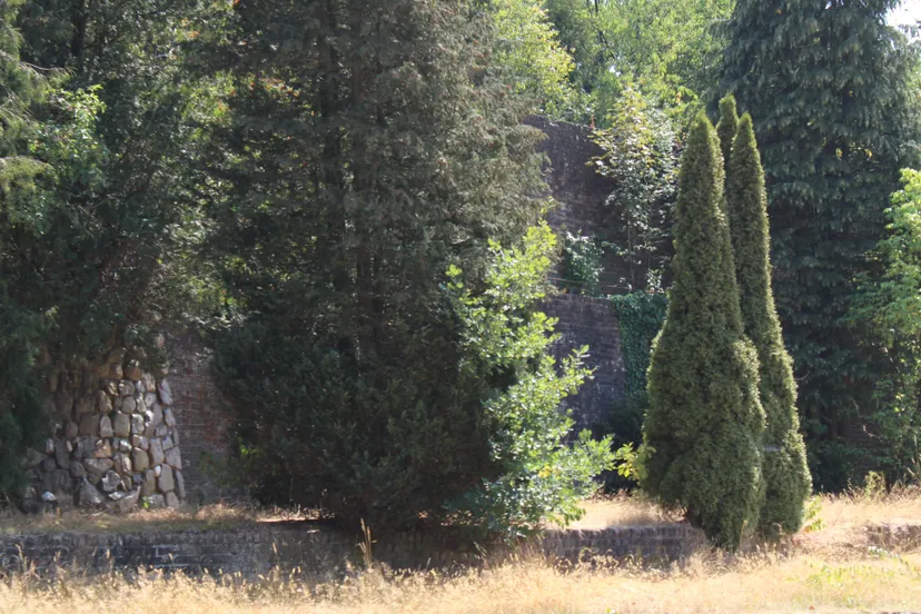 muur van mussert edenieuwsnl