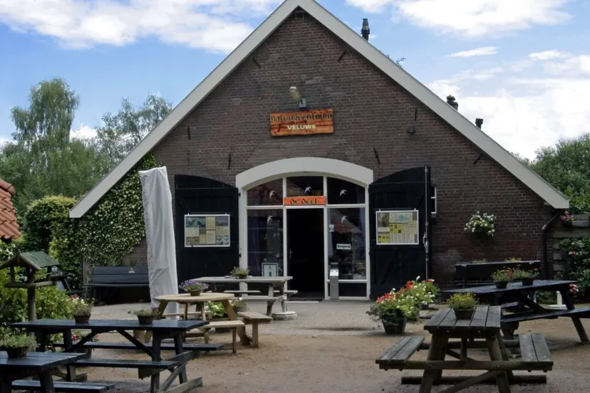 nc deel 07