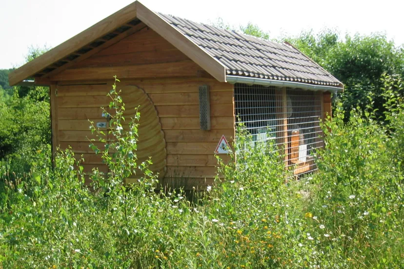 nc tuin bijenstal