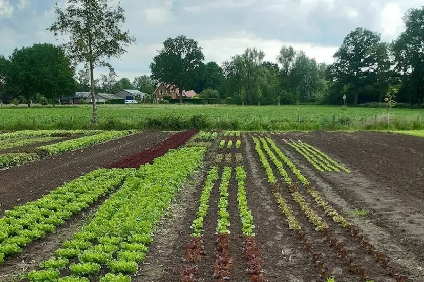 open dag tuin