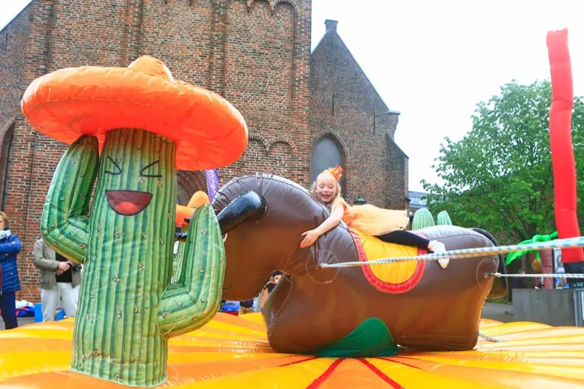 oranje stichting barneveld