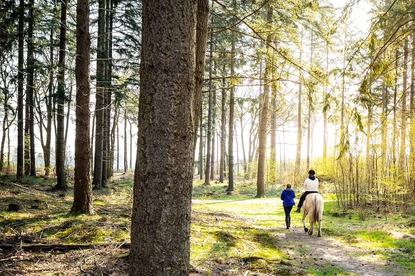paardrijden ede bezoekede 1