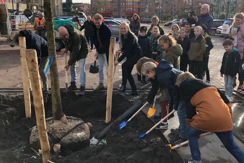 persbericht 23 071 eerste boom geplant in centrum barneveld foto 2